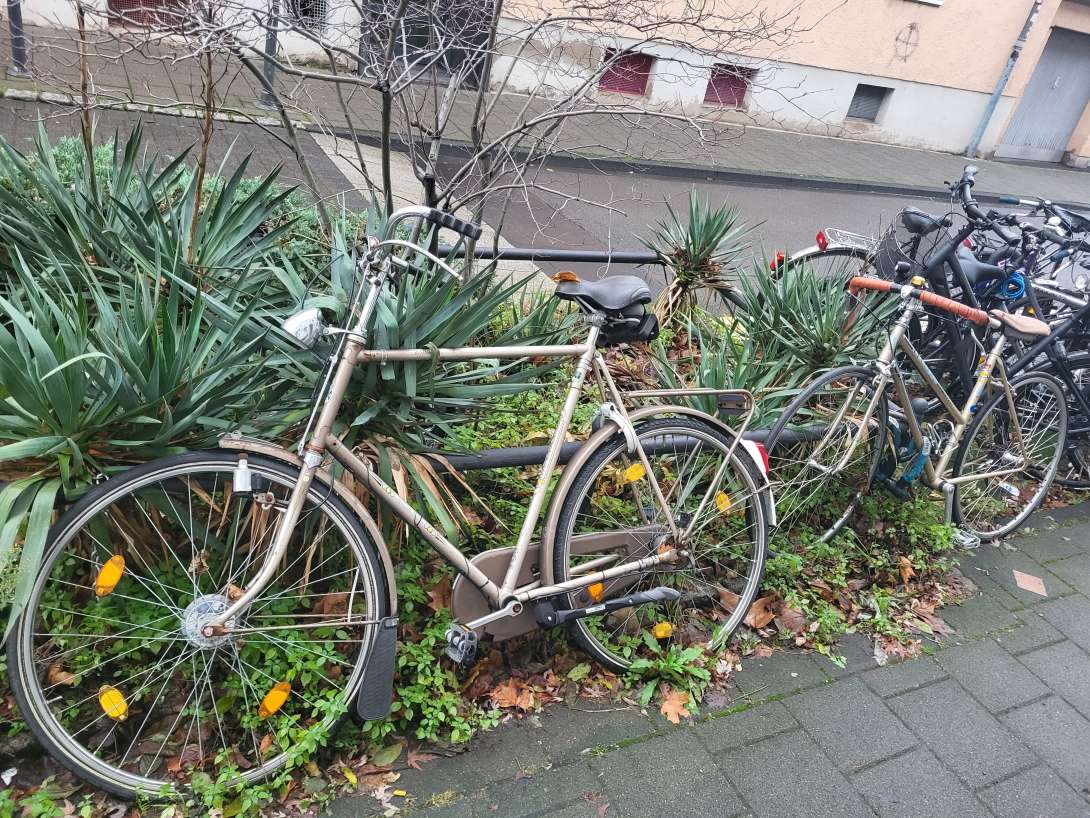 Bild zu gemeldetem Anliegen vom *2024-01-02 11:17:30