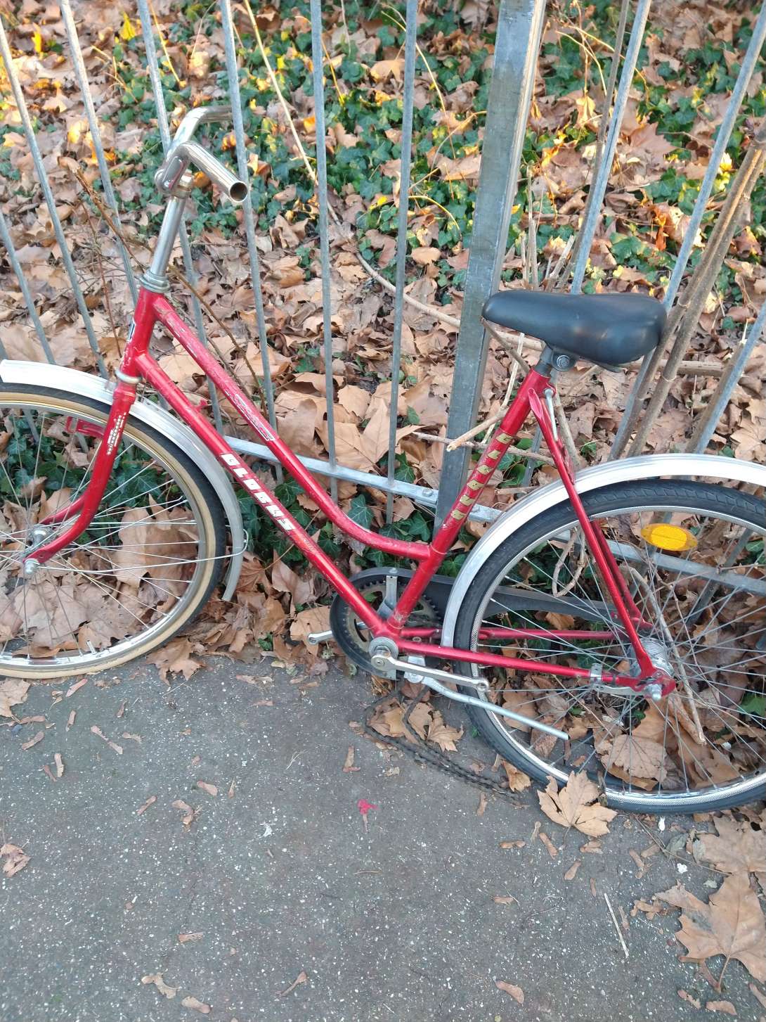 Bild zu gemeldetem Anliegen vom *2024-05-28 14:38:03