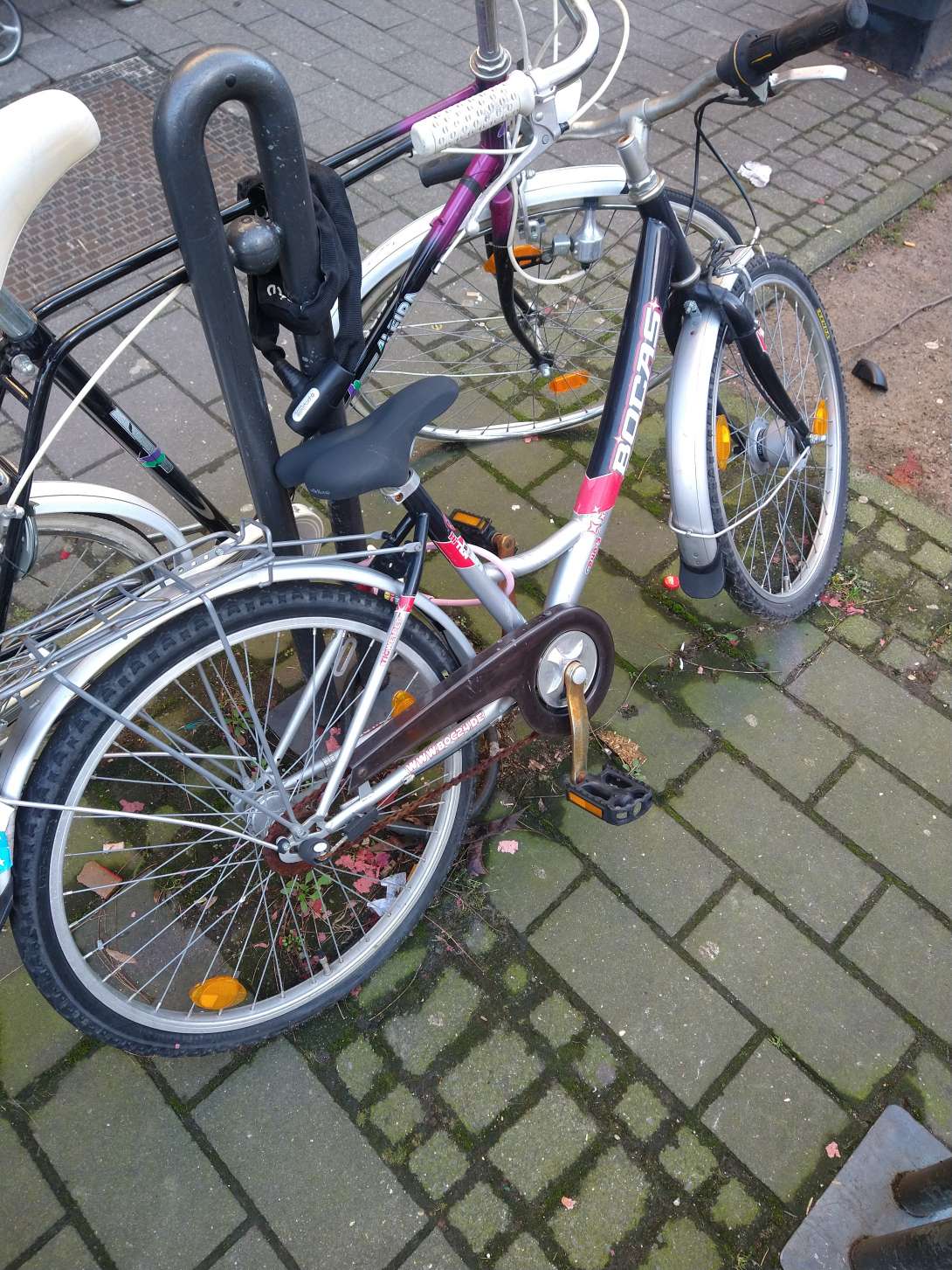 Bild zu gemeldetem Anliegen vom *2024-05-08 09:31:43