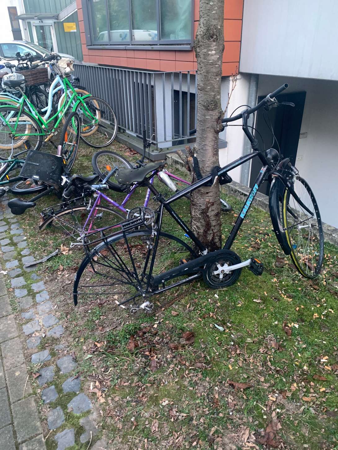 Bild zu gemeldetem Anliegen vom *2024-01-11 13:58:39