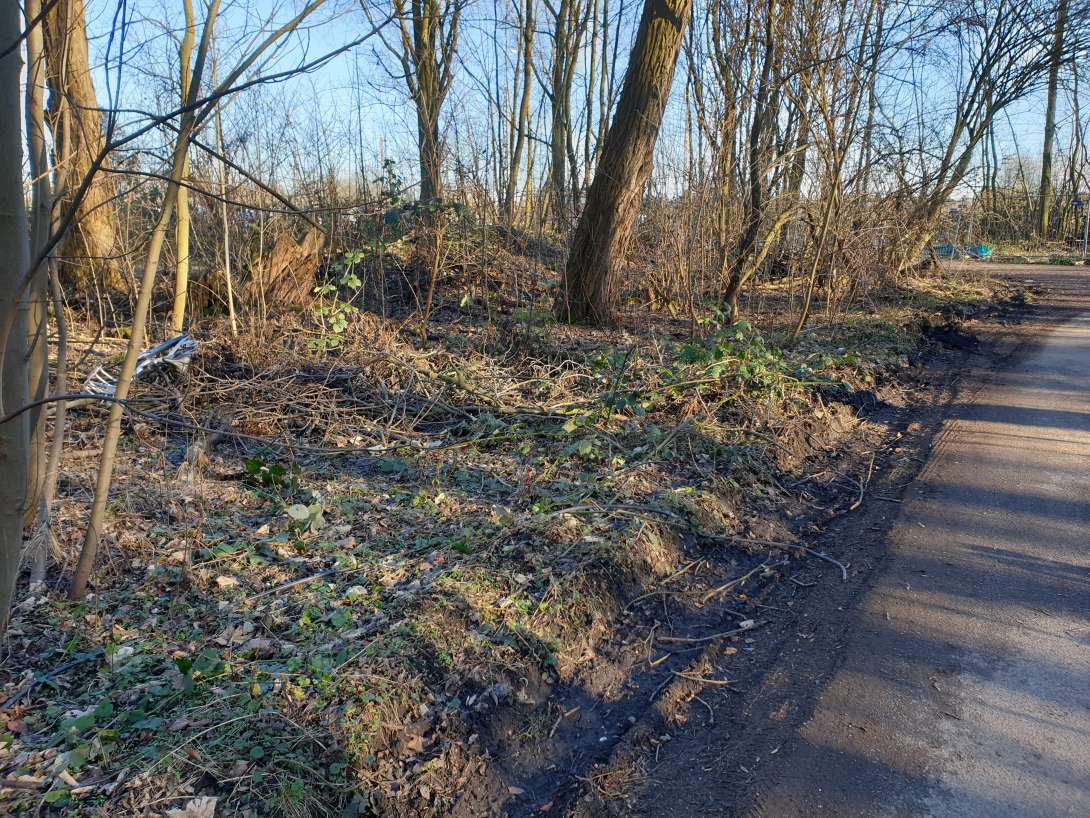 Bild zu gemeldetem Anliegen vom *2024-01-29 06:44:00