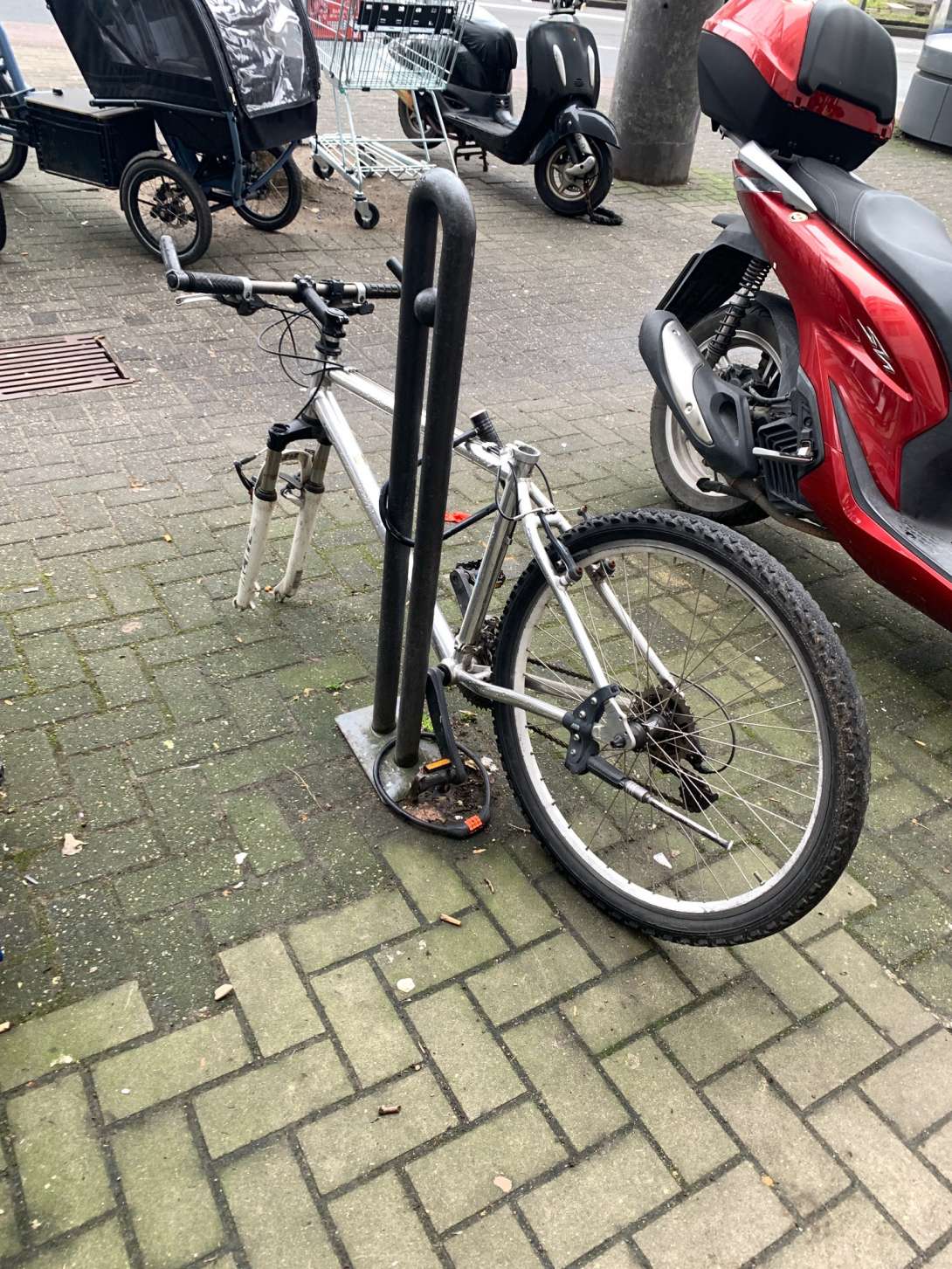 Bild zu gemeldetem Anliegen vom *2024-02-01 16:47:38