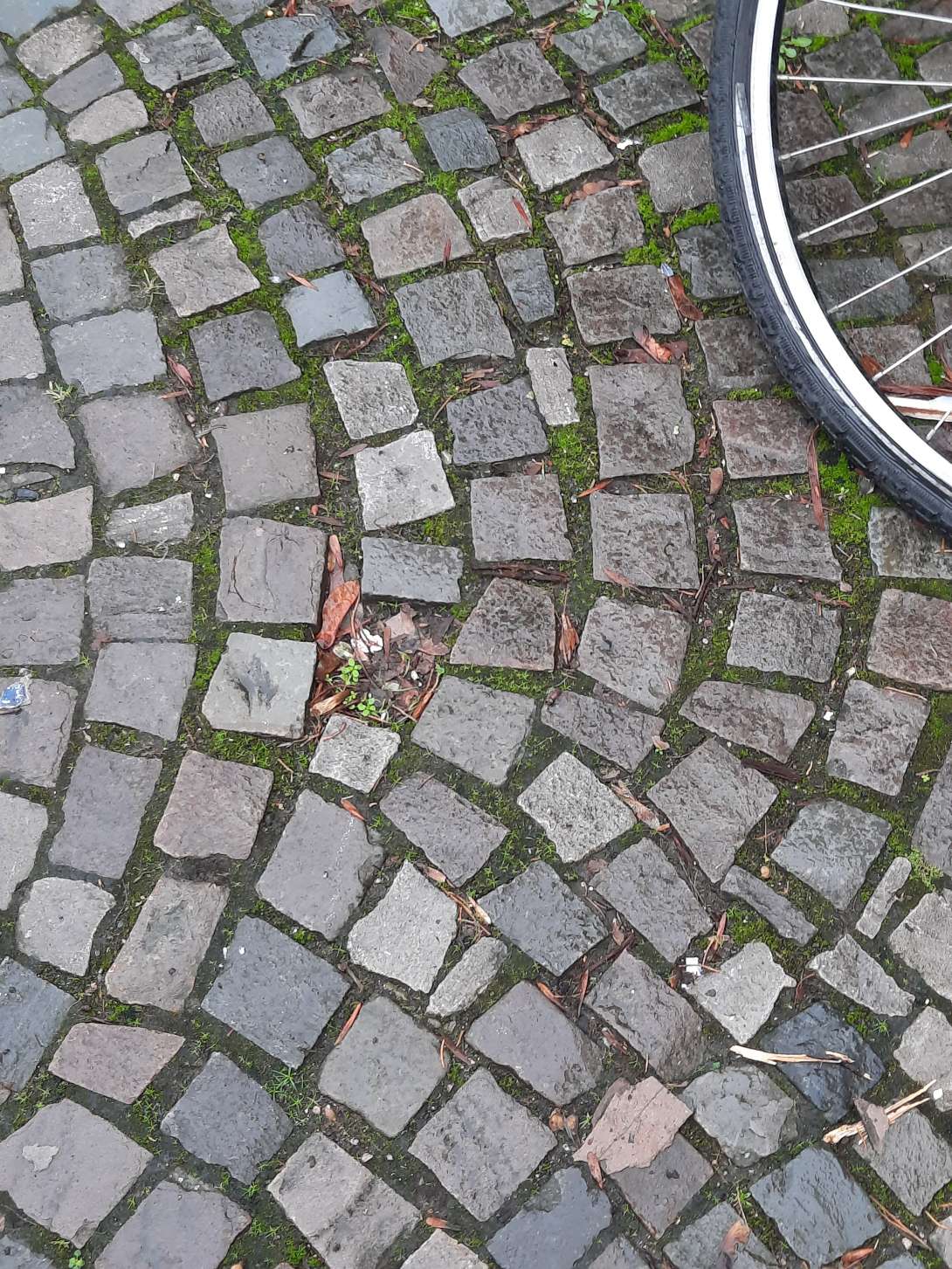 Bild zu gemeldetem Anliegen vom *2024-01-04 12:32:57