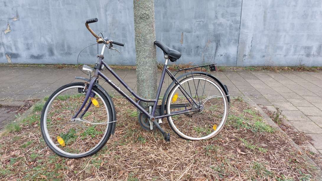 Bild zu gemeldetem Anliegen vom *2024-01-15 15:13:27