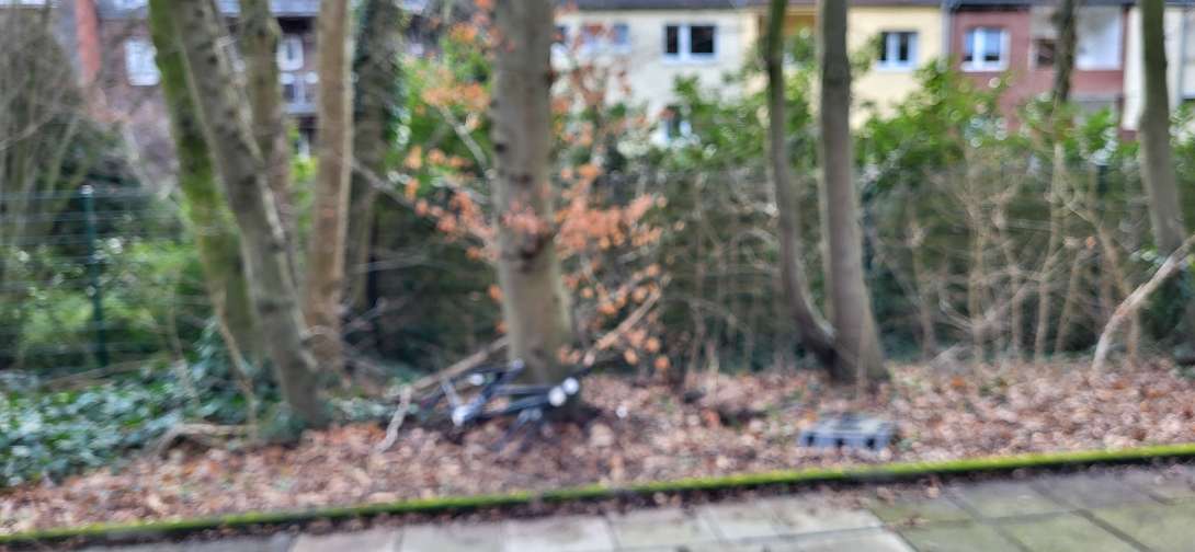 Bild zu gemeldetem Anliegen vom *2024-01-17 10:04:48