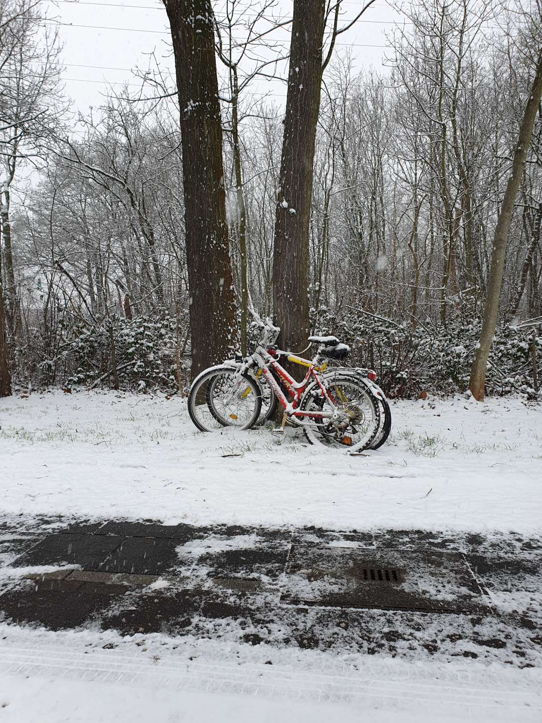 Bild zu gemeldetem Anliegen vom *2024-01-24 09:55:45