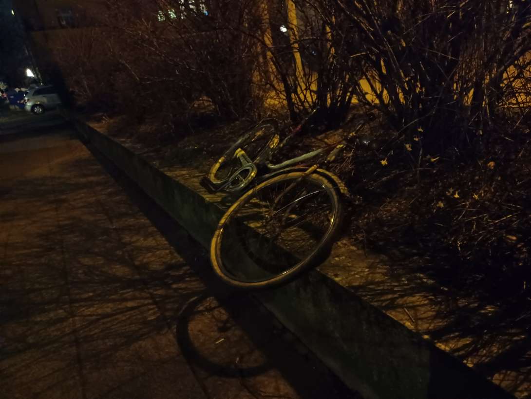 Bild zu gemeldetem Anliegen vom *2024-01-31 10:30:14