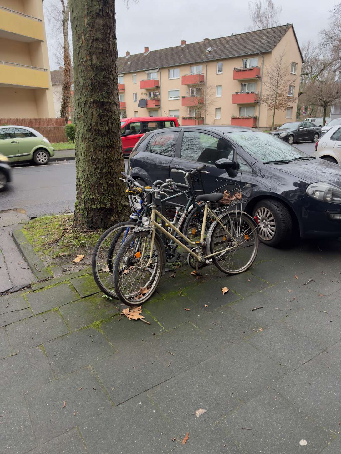 Bild zu gemeldetem Anliegen vom *2024-01-02 11:56:54