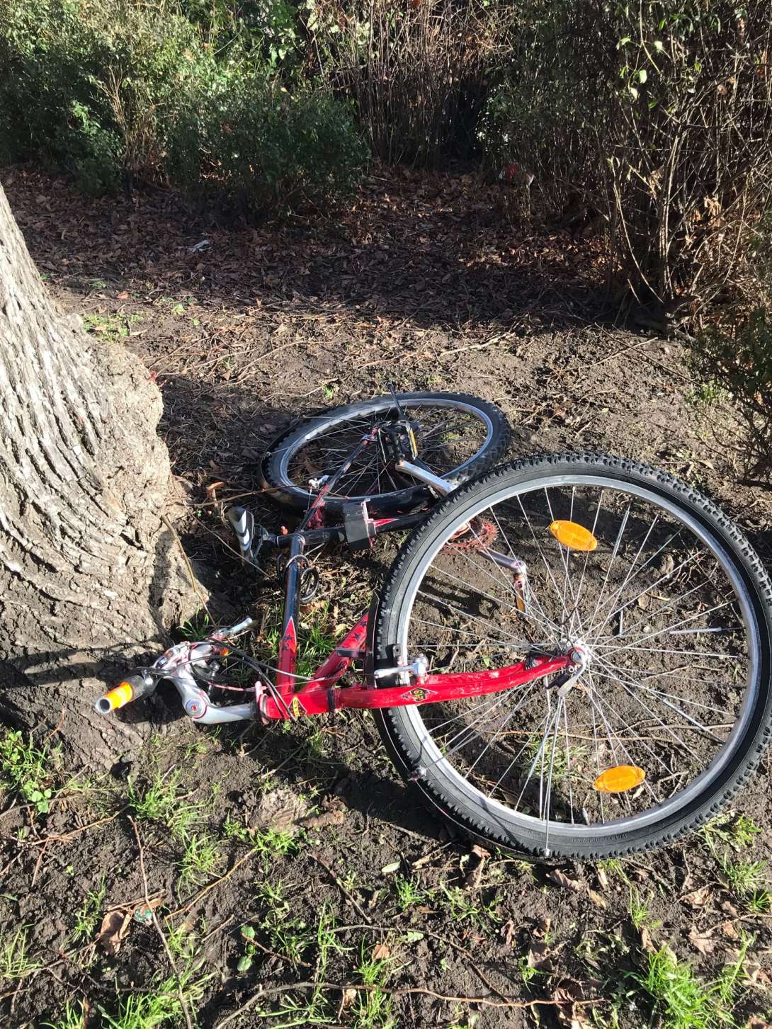 Bild zu gemeldetem Anliegen vom *2024-01-25 15:38:13