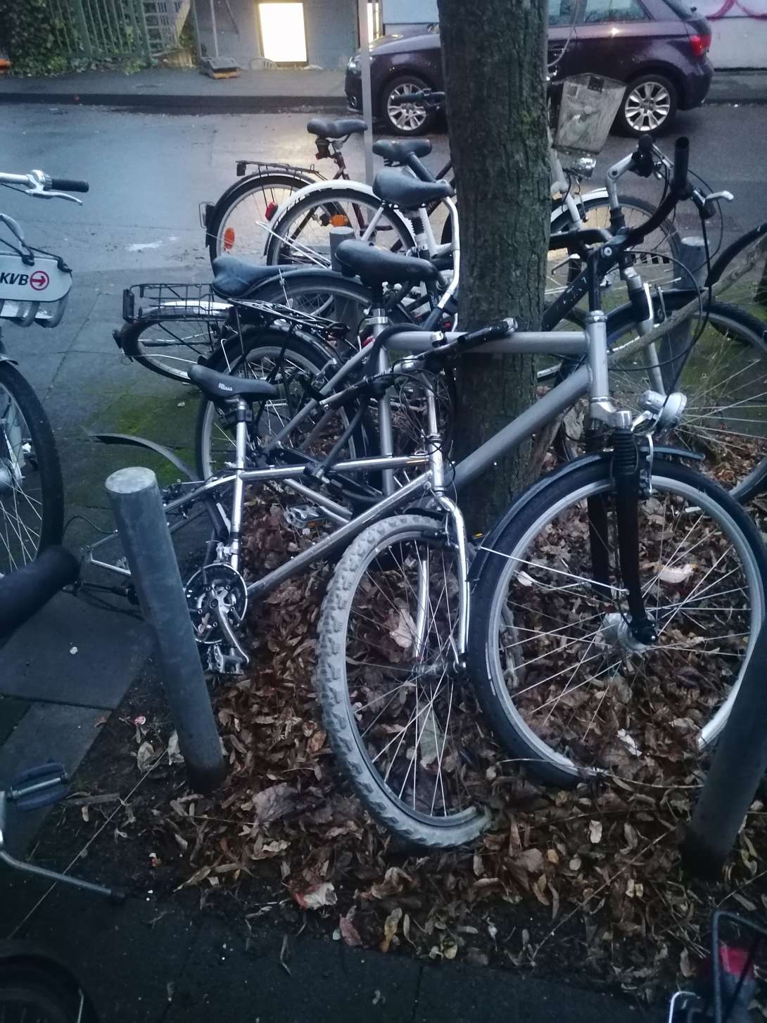 Bild zu gemeldetem Anliegen vom *2024-01-26 09:23:34