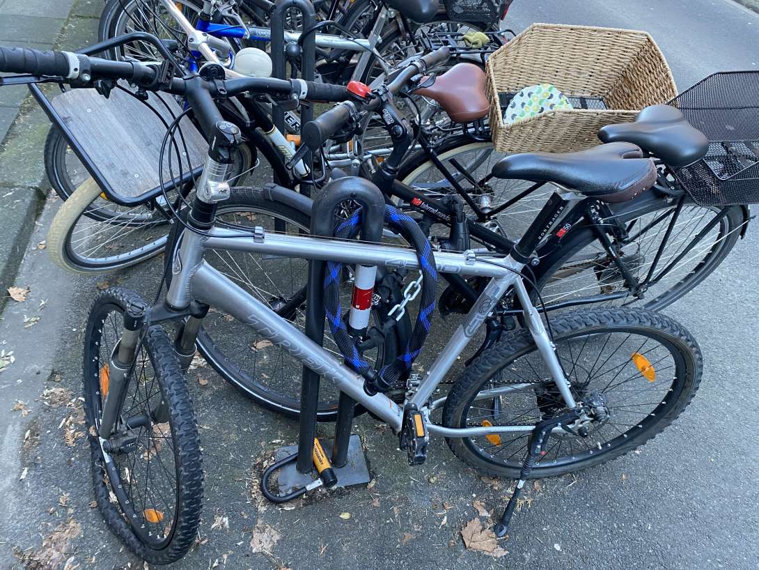 Bild zu gemeldetem Anliegen vom *2024-01-29 15:31:07