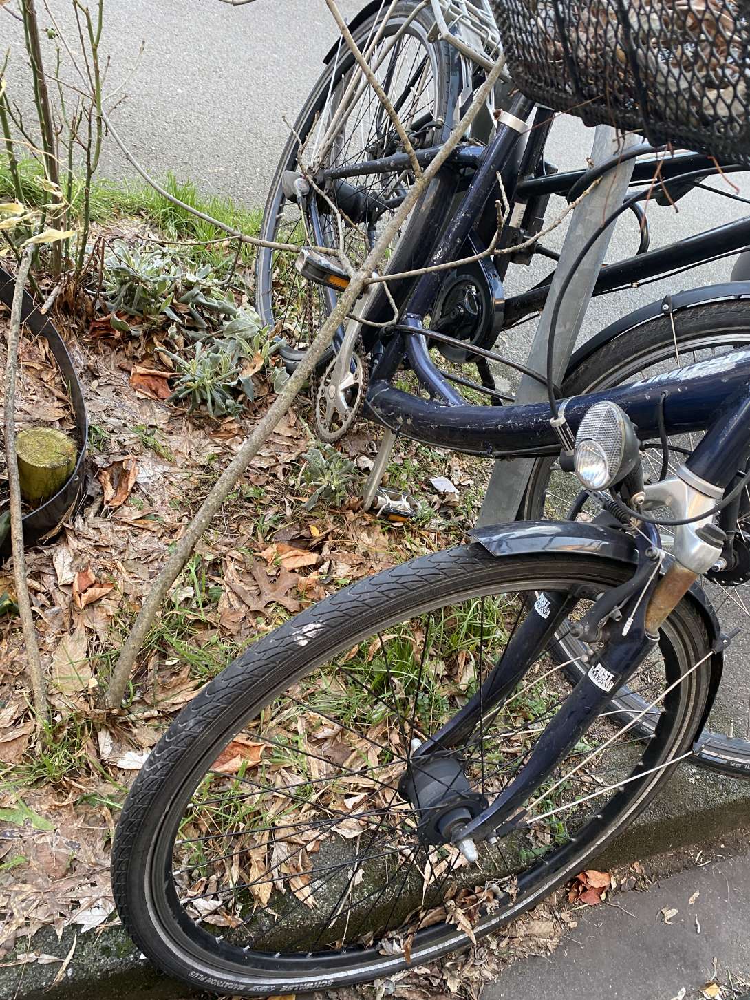 Bild zu gemeldetem Anliegen vom *2024-01-09 17:40:46