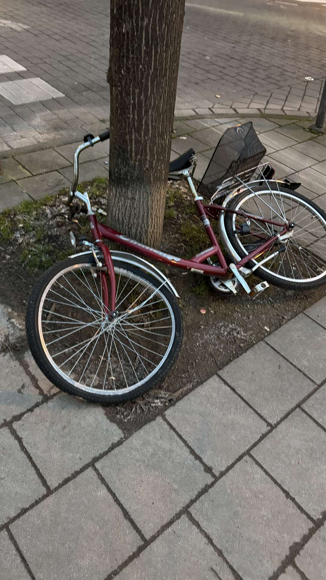 Bild zu gemeldetem Anliegen vom *2024-02-29 22:12:19