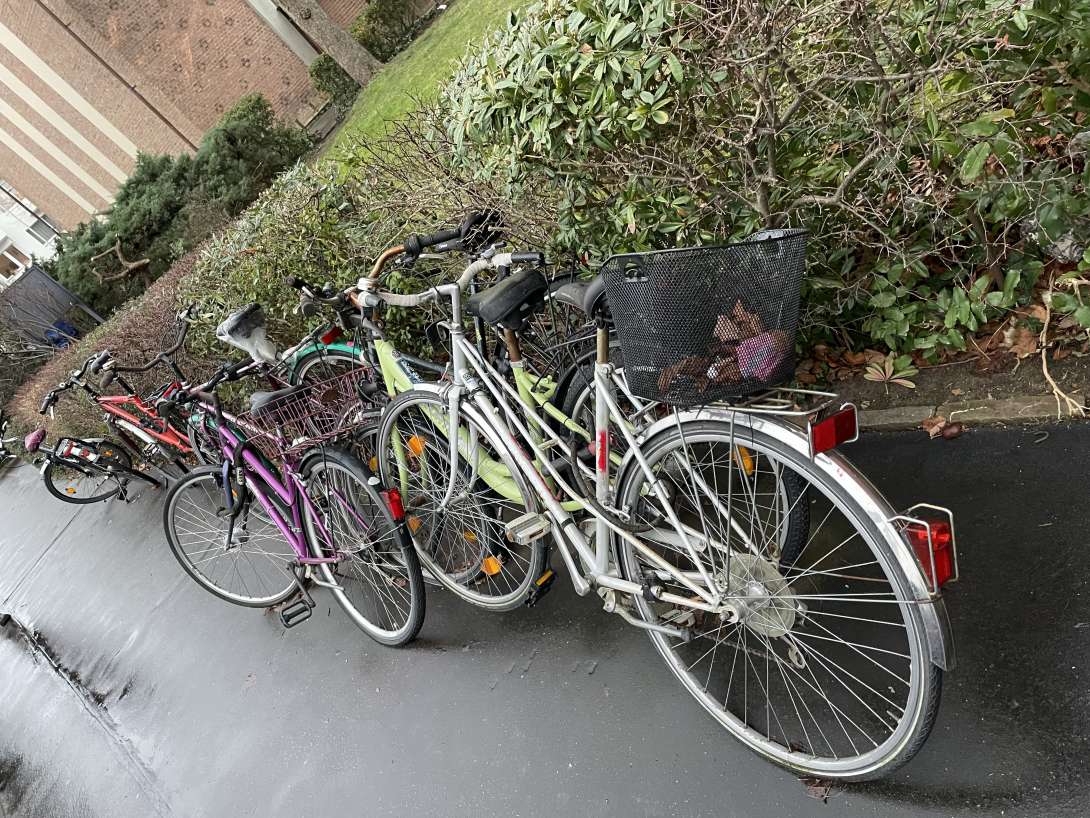 Bild zu gemeldetem Anliegen vom *2024-02-05 12:18:29