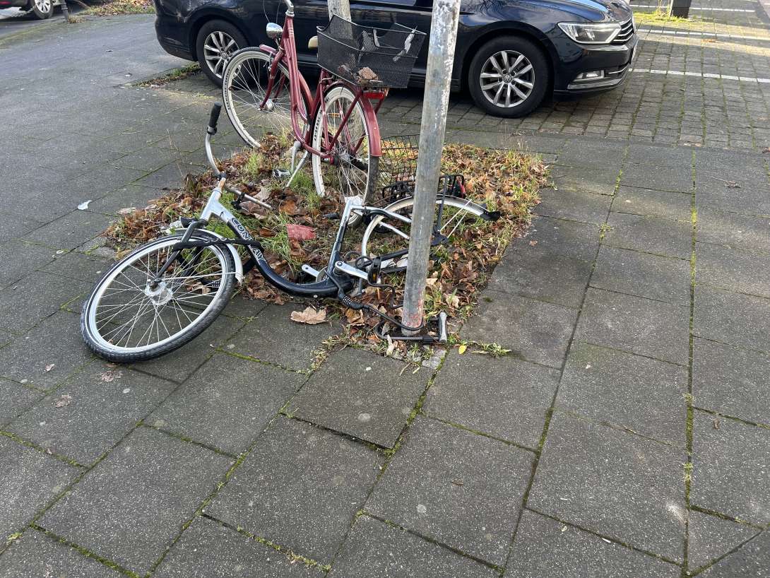 Bild zu gemeldetem Anliegen vom *2024-01-10 19:39:52