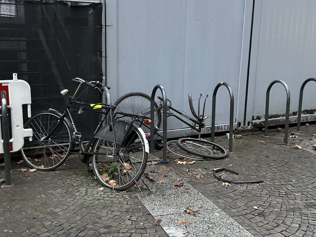 Bild zu gemeldetem Anliegen vom *2024-01-02 11:15:17