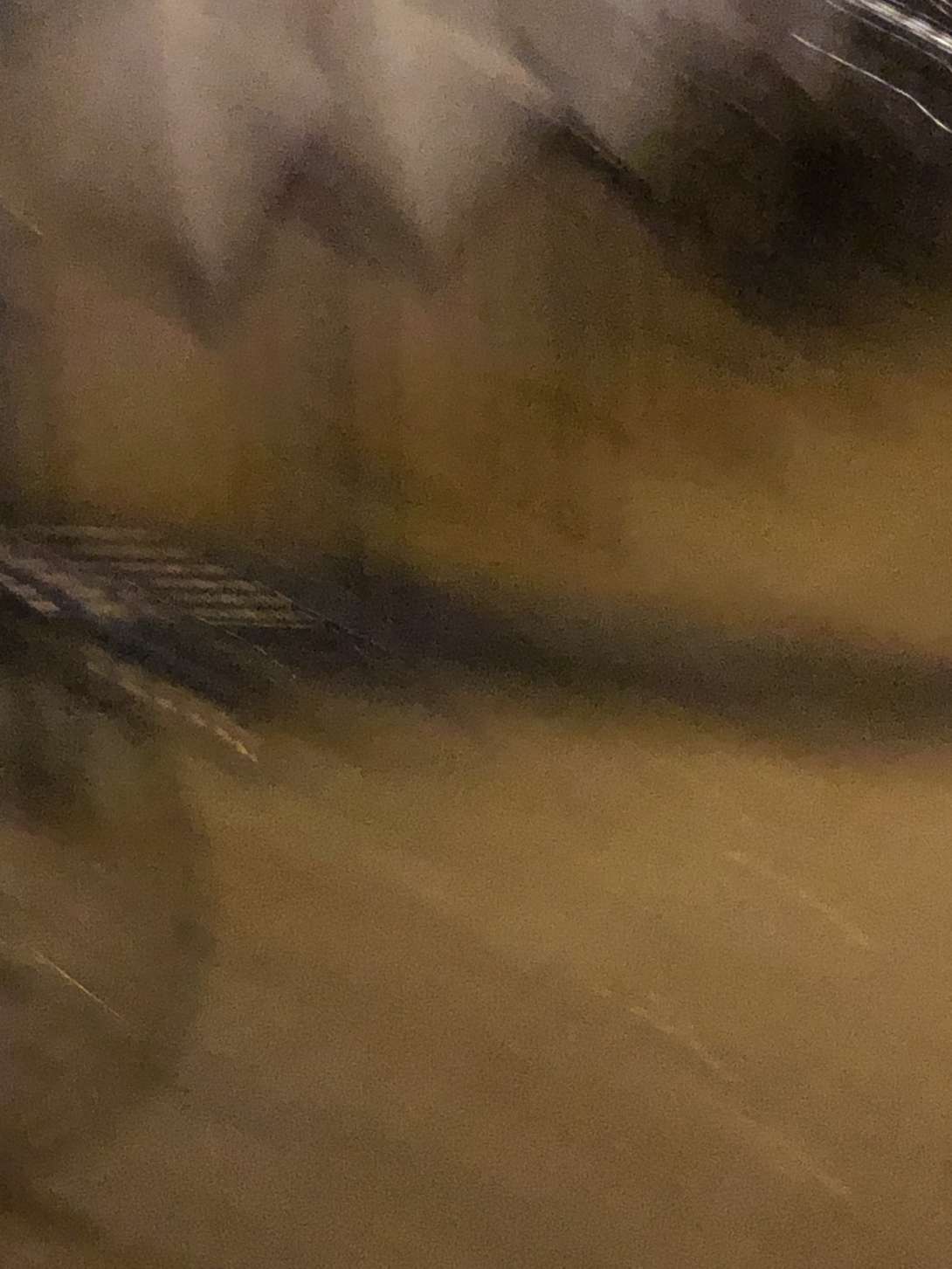 Bild zu gemeldetem Anliegen vom *2024-05-28 14:34:03