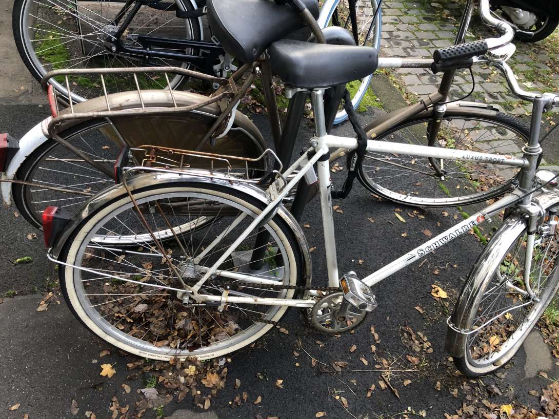 Bild zu gemeldetem Anliegen vom *2024-01-06 16:36:10