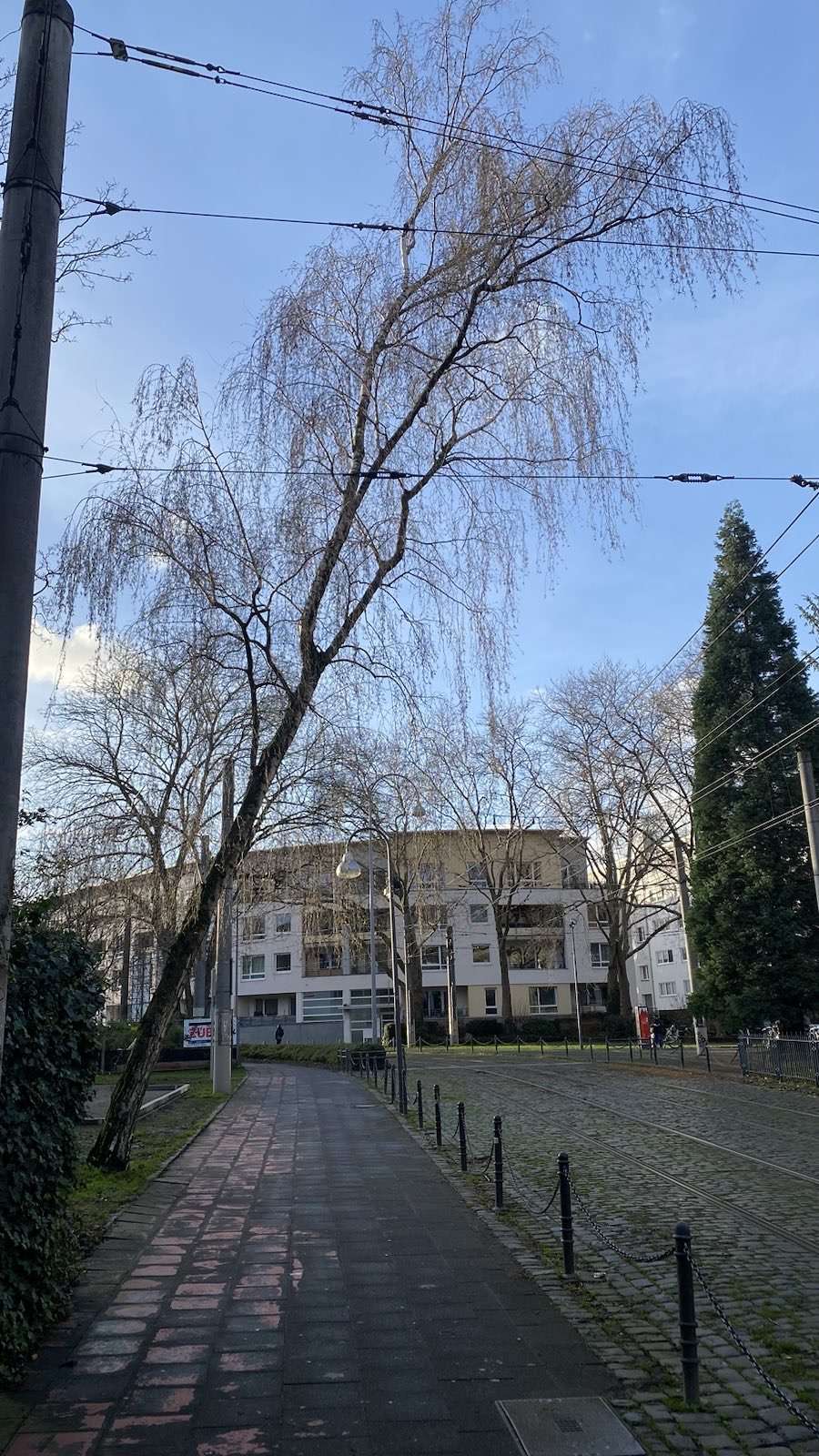 Bild zu gemeldetem Anliegen vom *2024-01-05 09:52:01