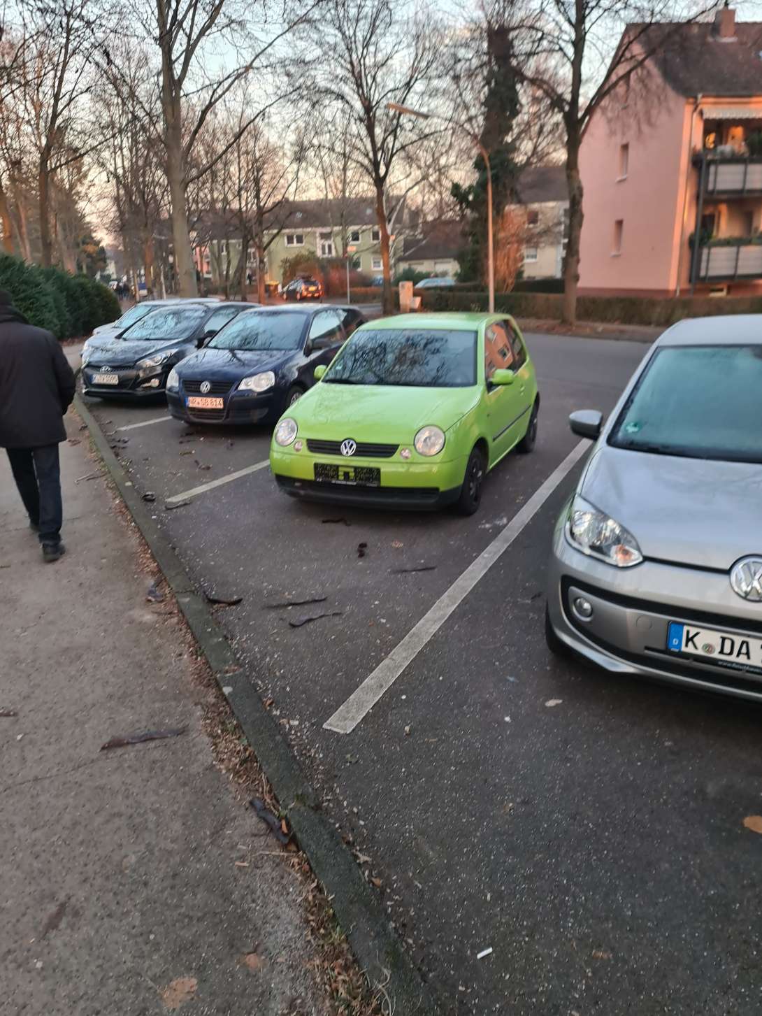 Bild zu gemeldetem Anliegen vom *2024-01-12 07:25:51