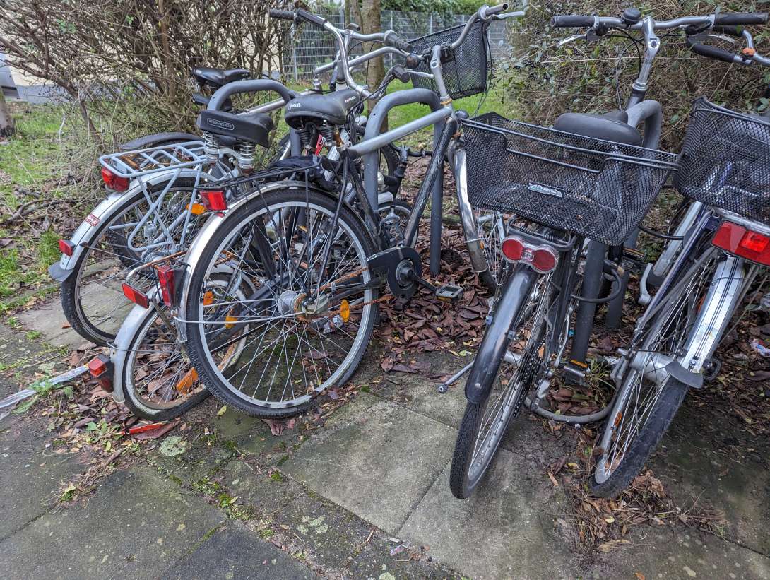 Bild zu gemeldetem Anliegen vom *2024-01-05 16:54:52