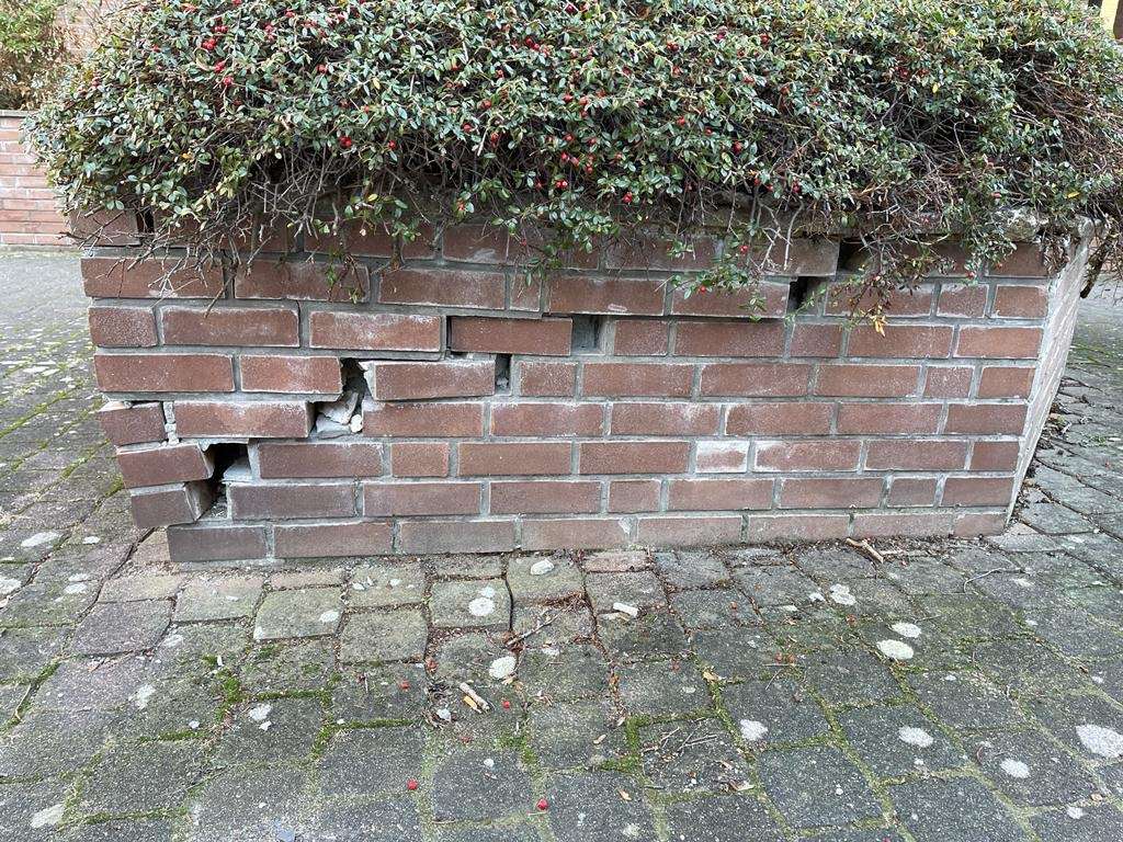 Bild zu gemeldetem Anliegen vom *2024-01-10 13:24:40