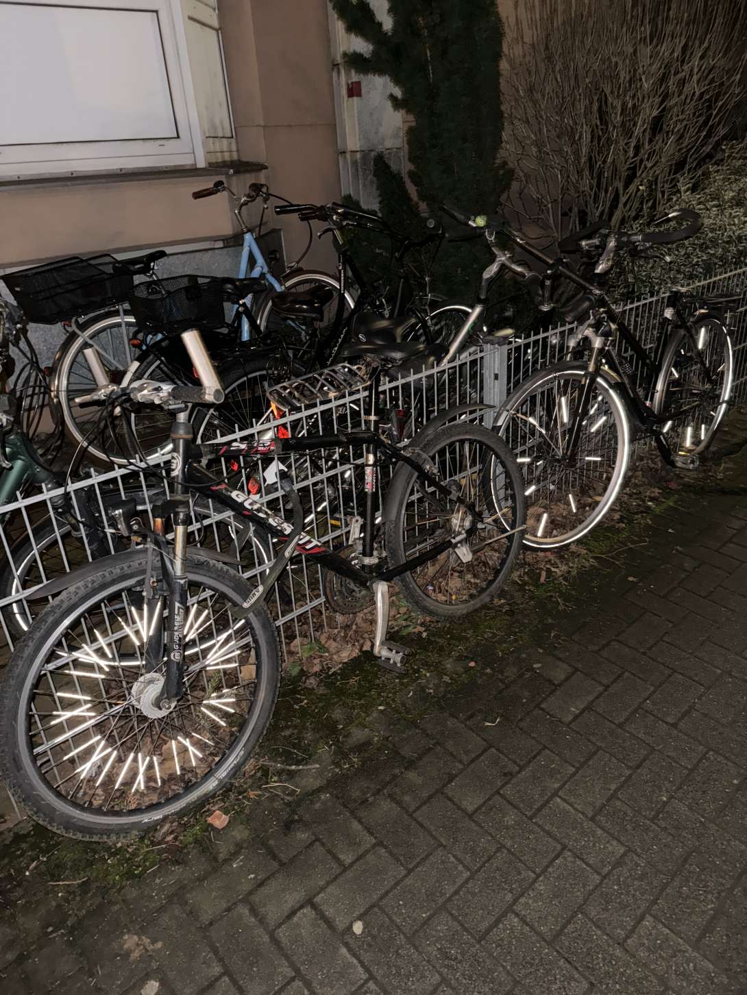 Bild zu gemeldetem Anliegen vom *2024-01-24 06:59:06