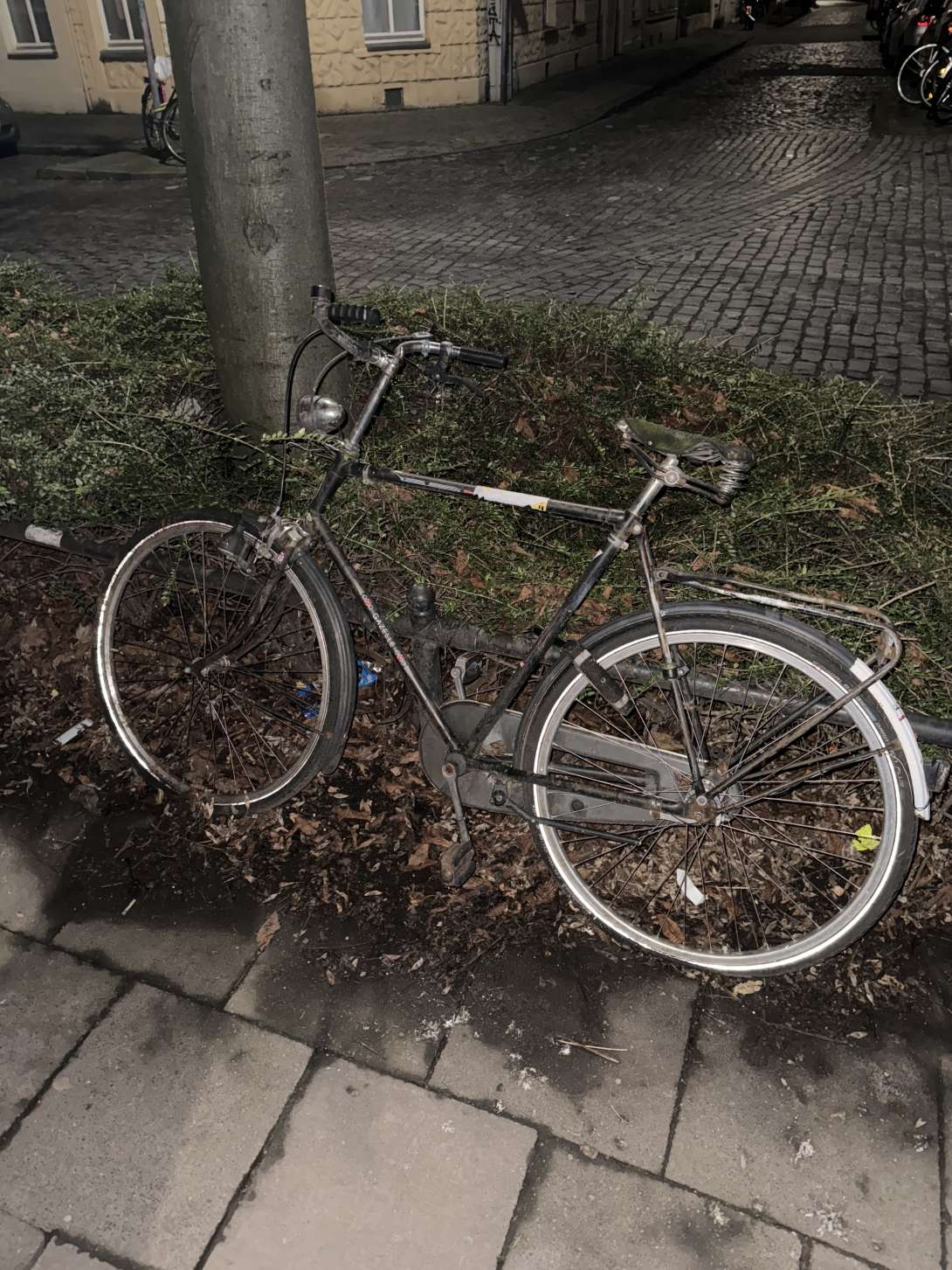 Bild zu gemeldetem Anliegen vom *2024-01-30 12:07:05