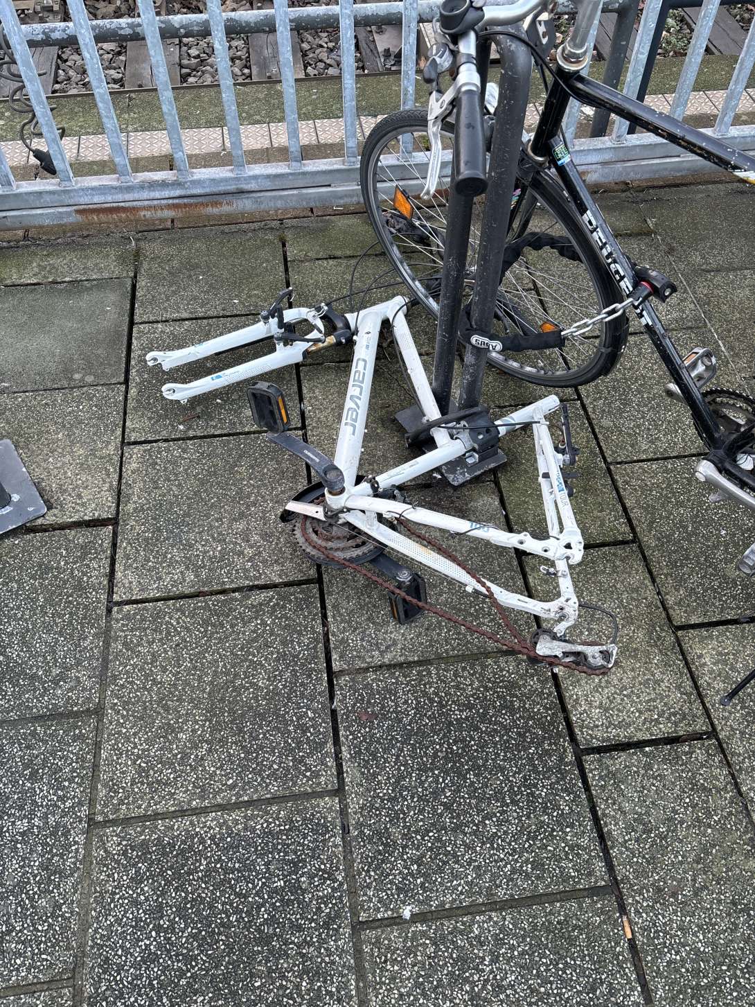 Bild zu gemeldetem Anliegen vom *2024-01-23 12:20:09