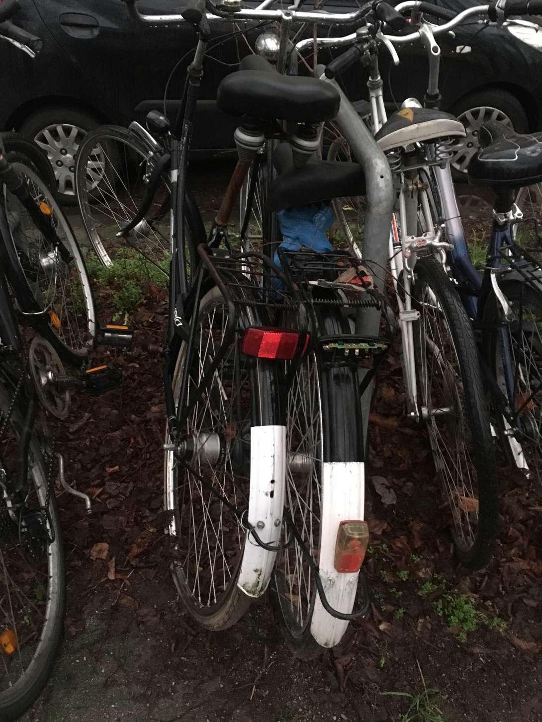 Bild zu gemeldetem Anliegen vom *2024-05-08 09:31:43