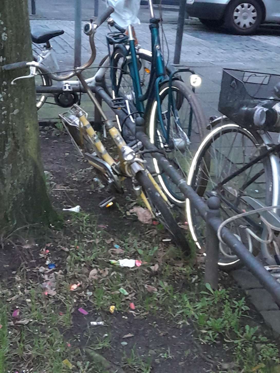 Bild zu gemeldetem Anliegen vom *2024-02-23 09:25:42