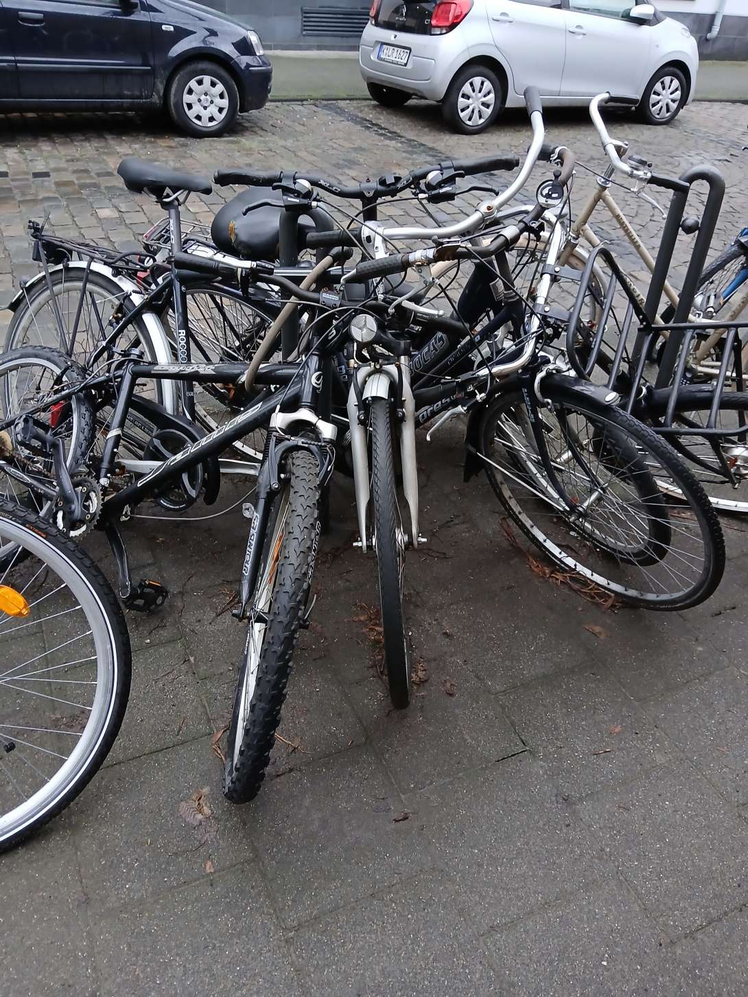 Bild zu gemeldetem Anliegen vom *2024-02-26 11:25:18