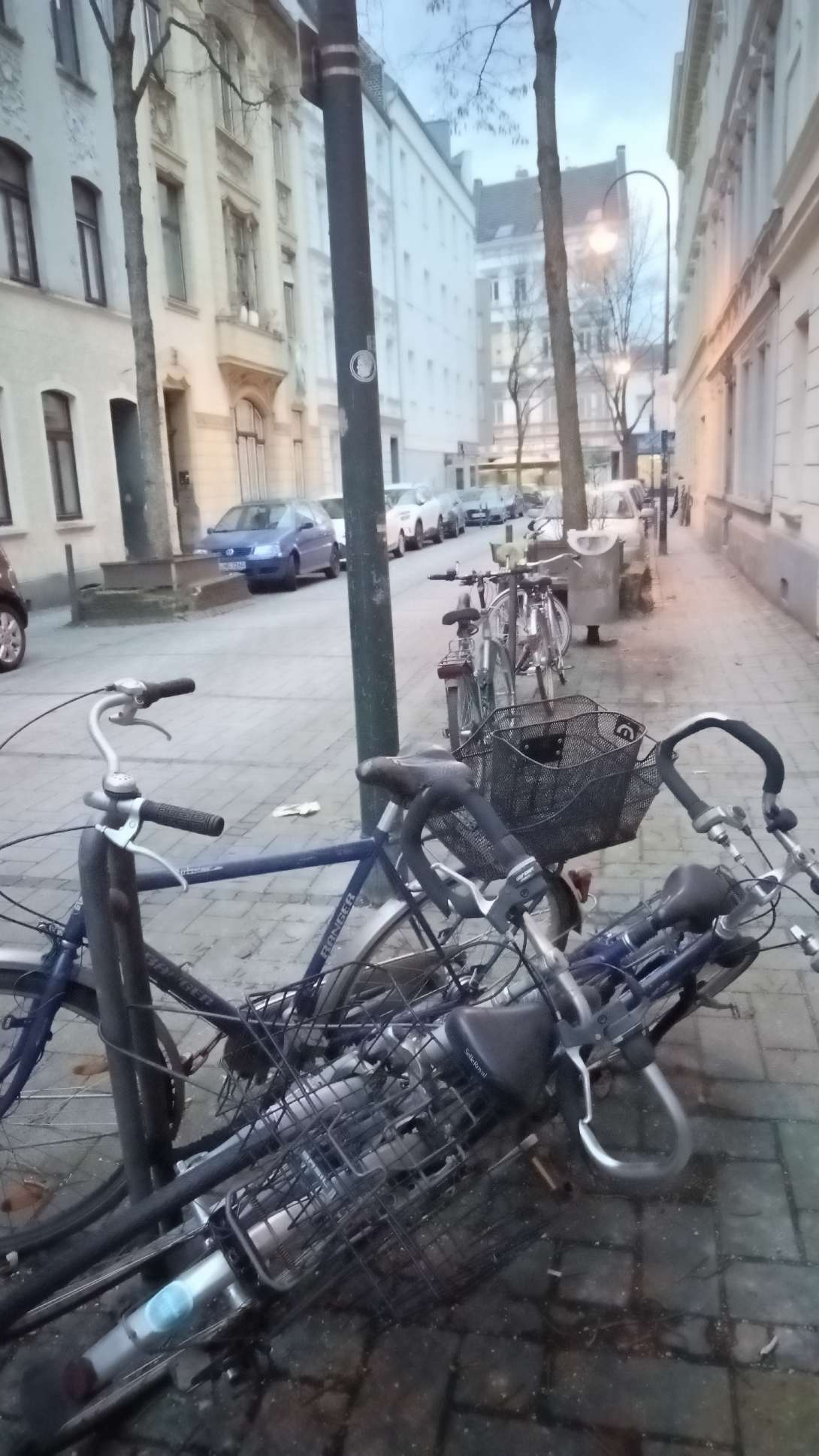 Bild zu gemeldetem Anliegen vom *2024-02-09 19:07:43