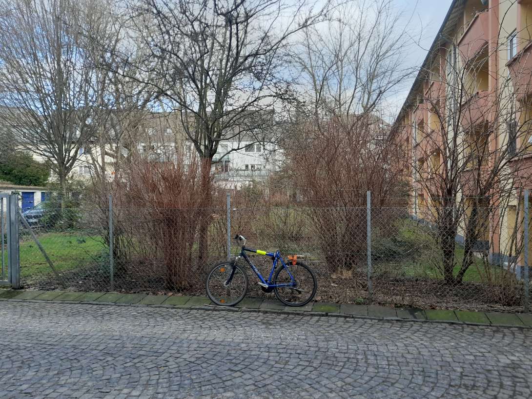 Bild zu gemeldetem Anliegen vom *2024-02-13 06:16:33