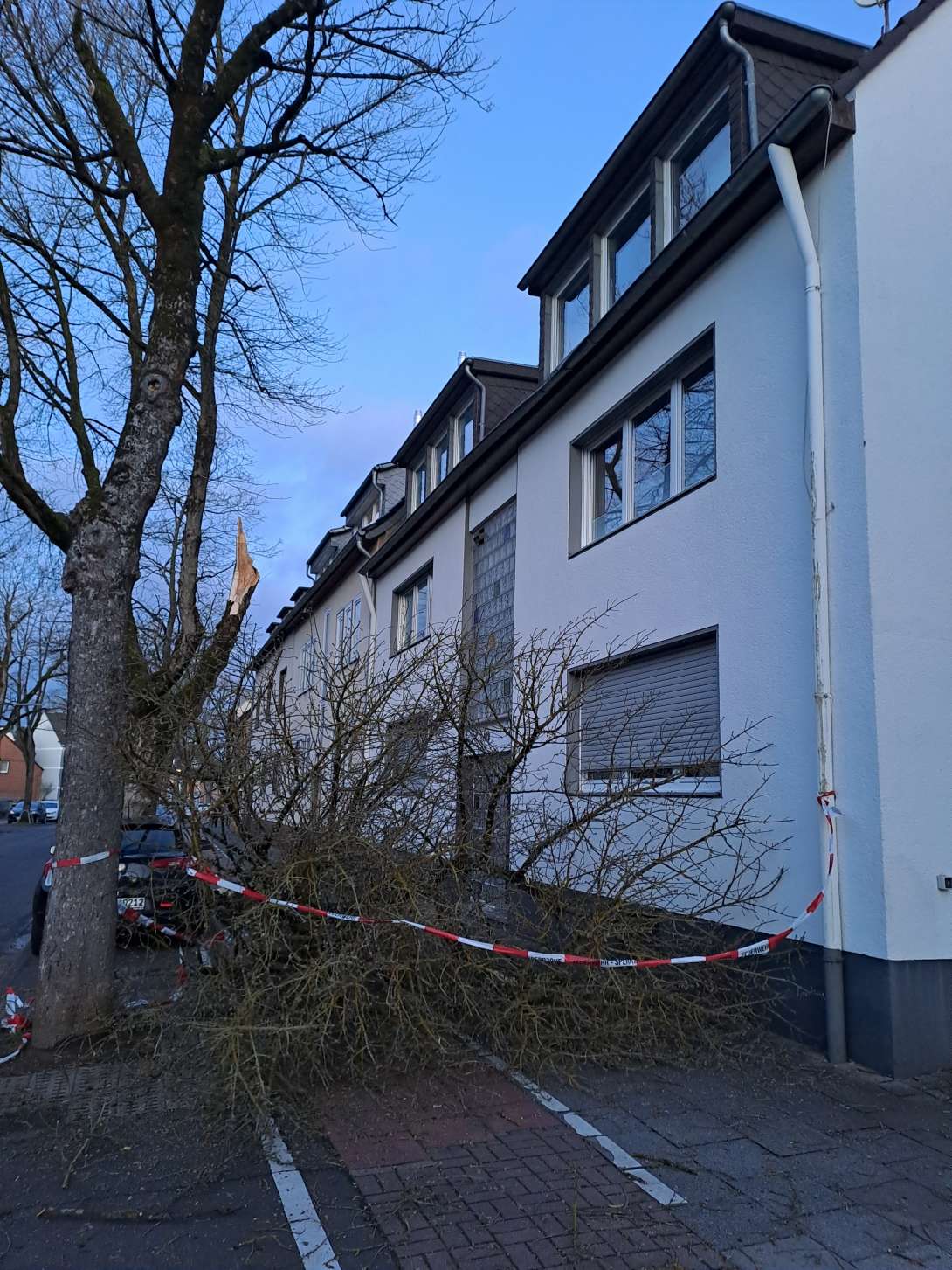 Bild zu gemeldetem Anliegen vom *2024-02-26 11:33:31