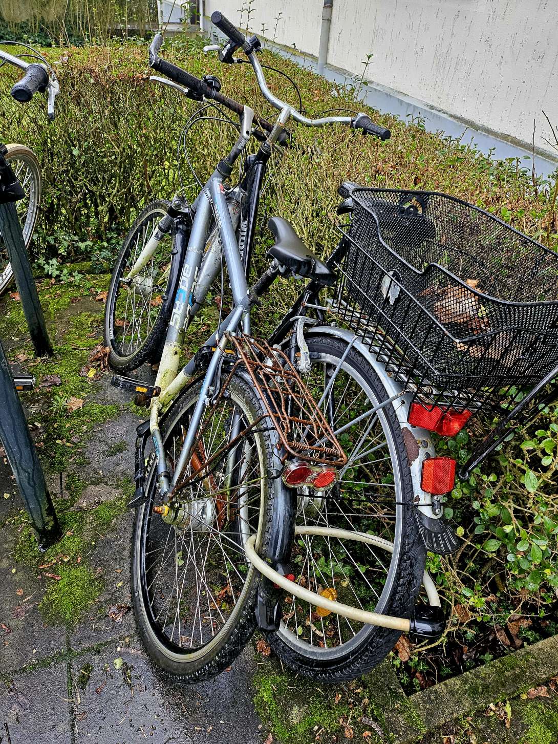 Bild zu gemeldetem Anliegen vom *2024-02-23 09:24:35