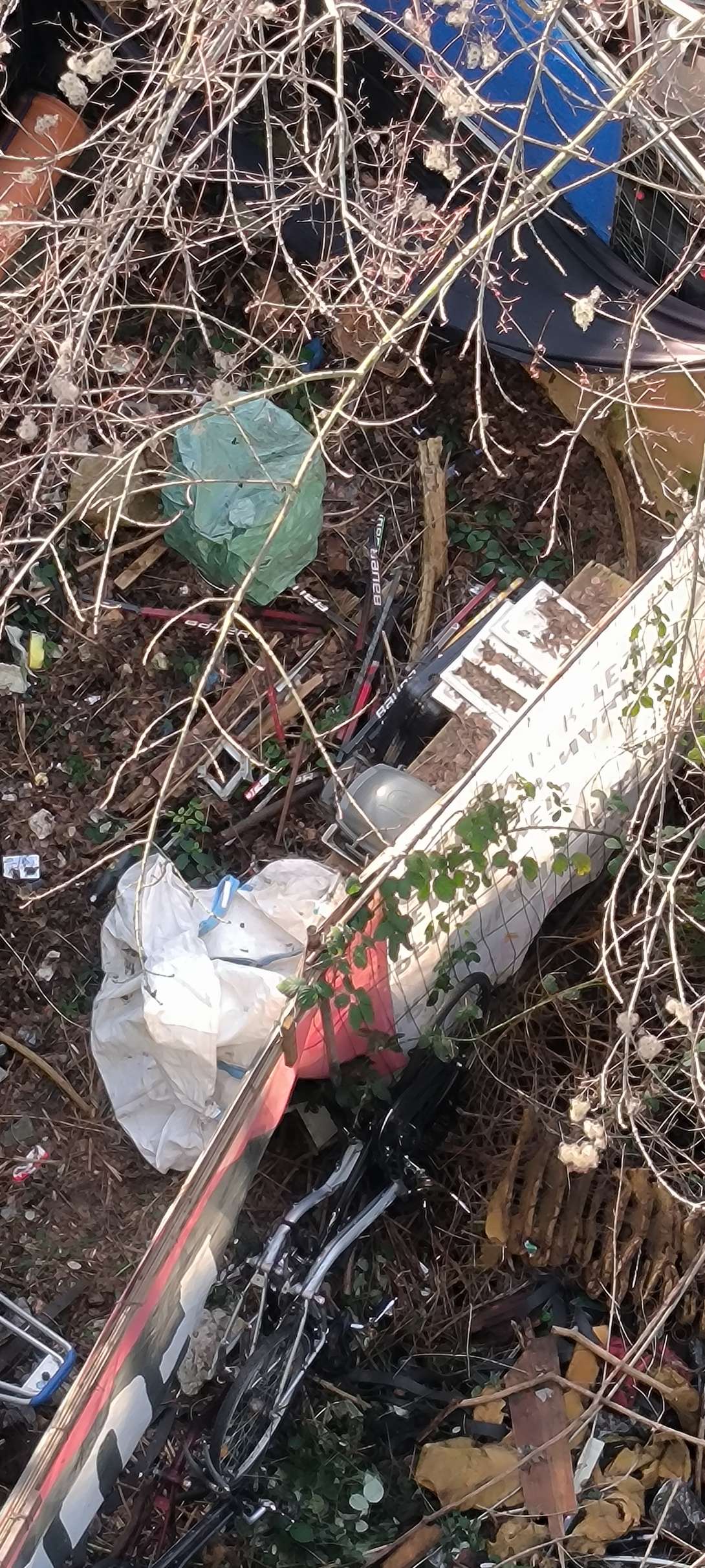 Bild zu gemeldetem Anliegen vom *2024-02-20 14:51:35