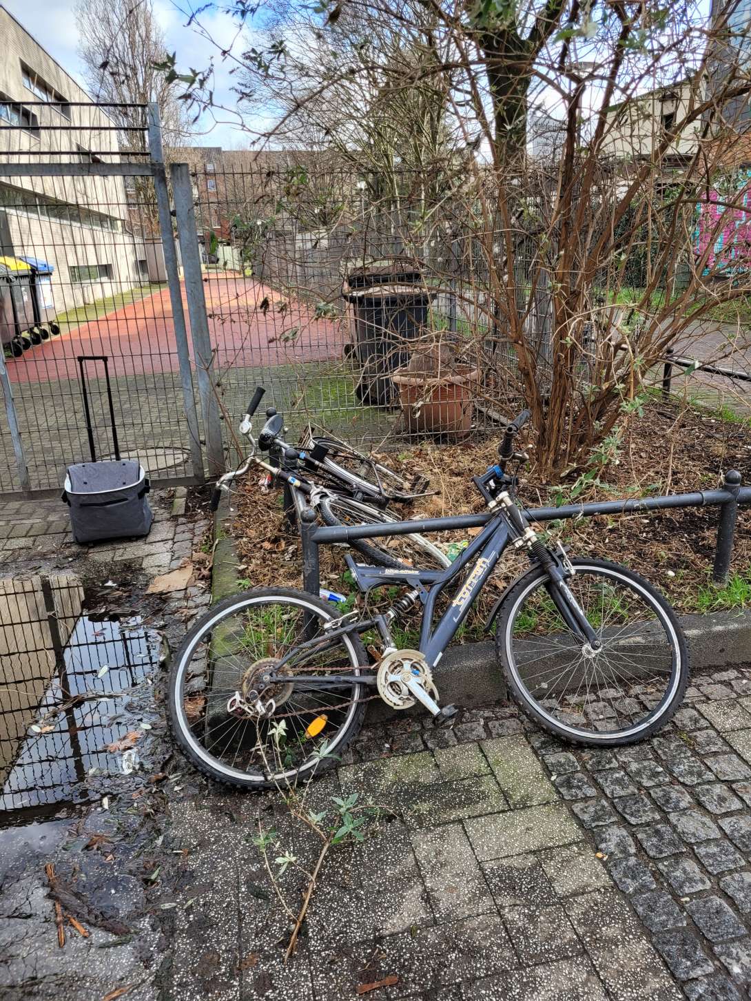 Bild zu gemeldetem Anliegen vom *2024-02-06 07:22:23