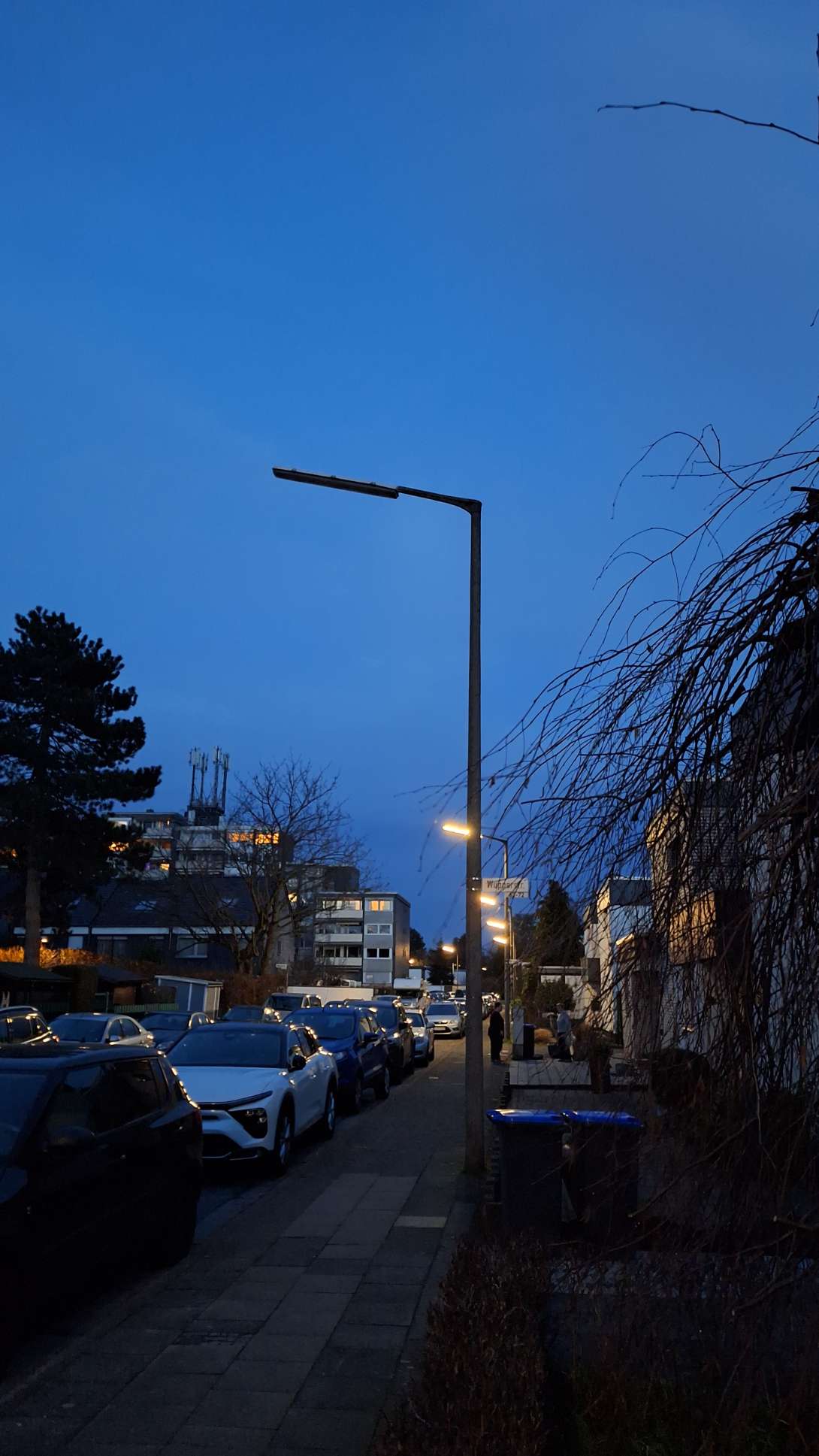 Bild zu gemeldetem Anliegen vom *2024-02-15 18:32:51
