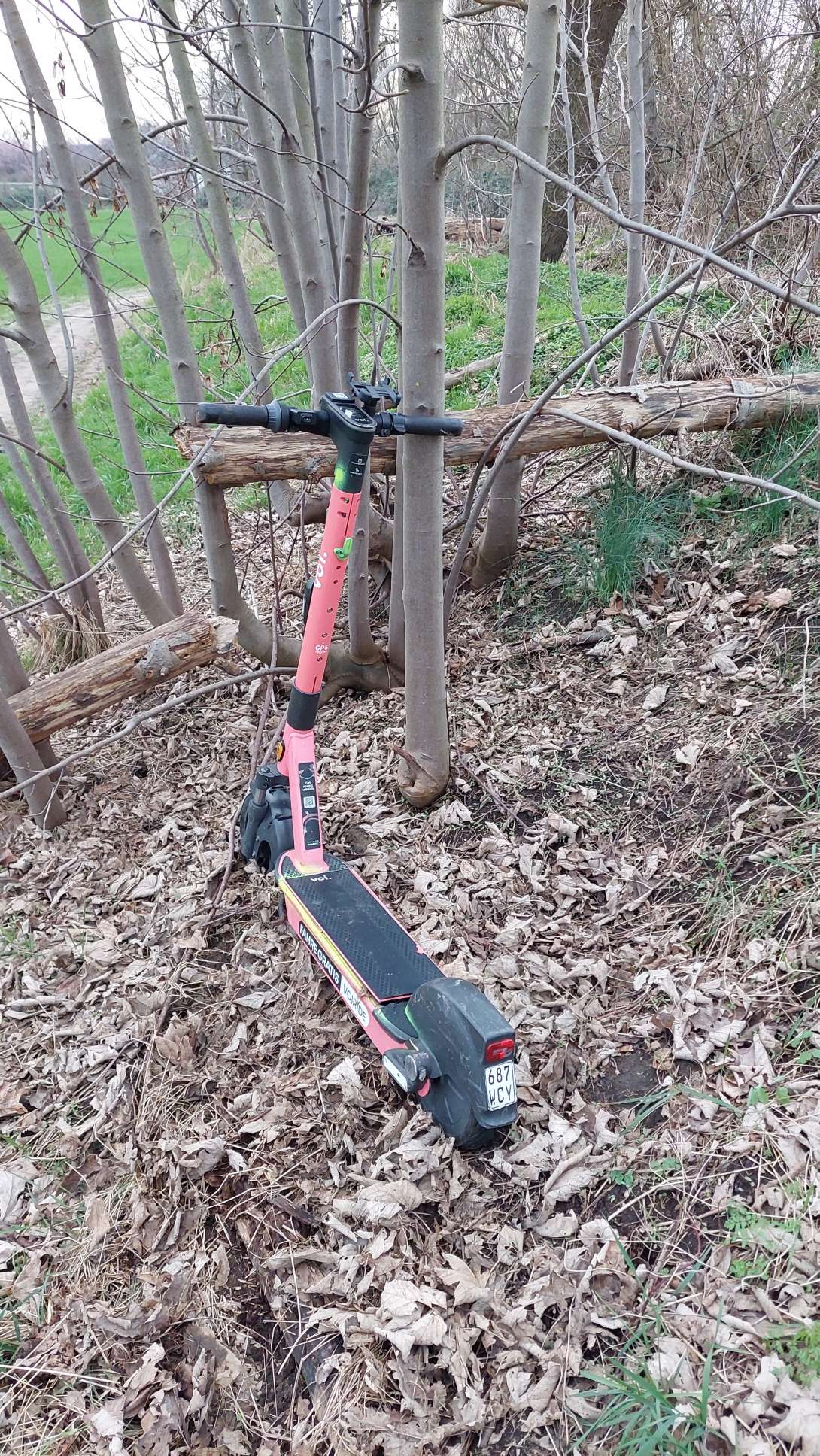 Bild zu gemeldetem Anliegen vom *2024-02-29 11:55:08