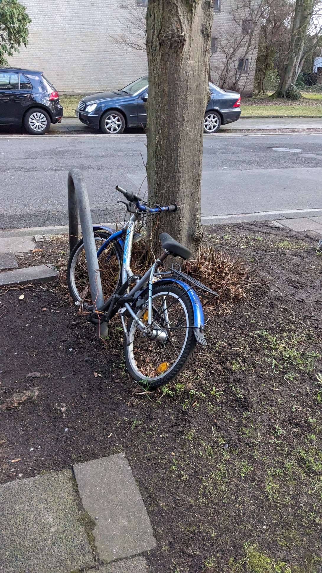 Bild zu gemeldetem Anliegen vom *2024-02-06 17:42:11