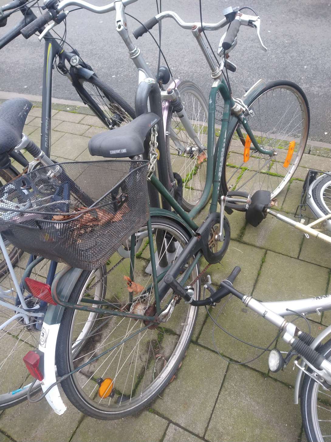 Bild zu gemeldetem Anliegen vom *2024-05-08 09:31:43