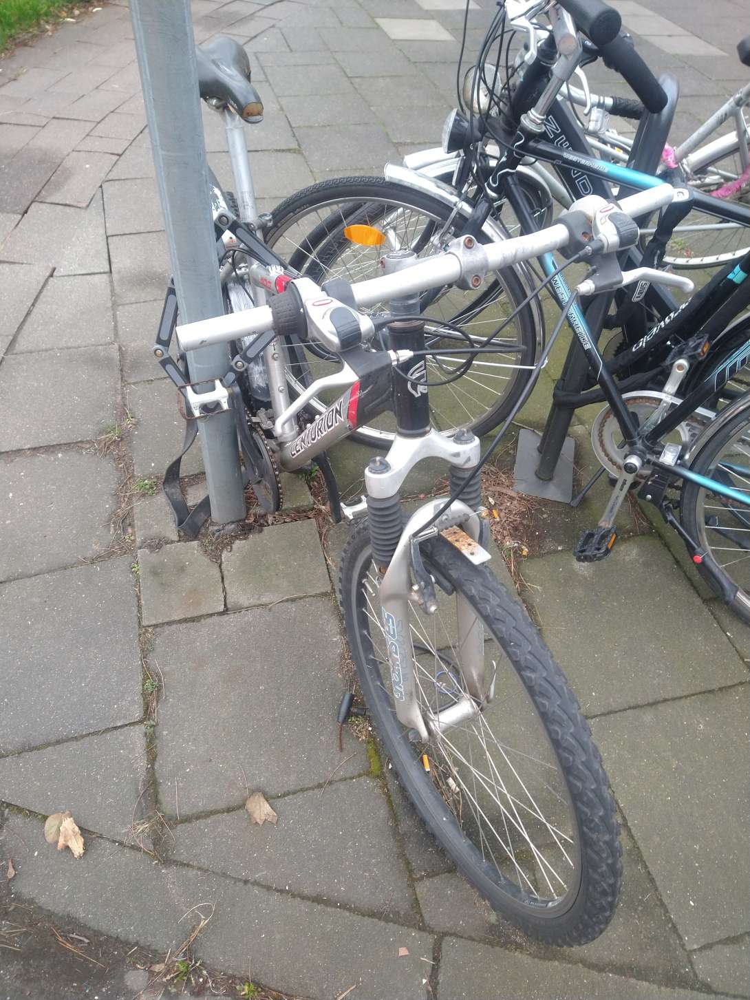 Bild zu gemeldetem Anliegen vom *2024-05-08 09:31:43