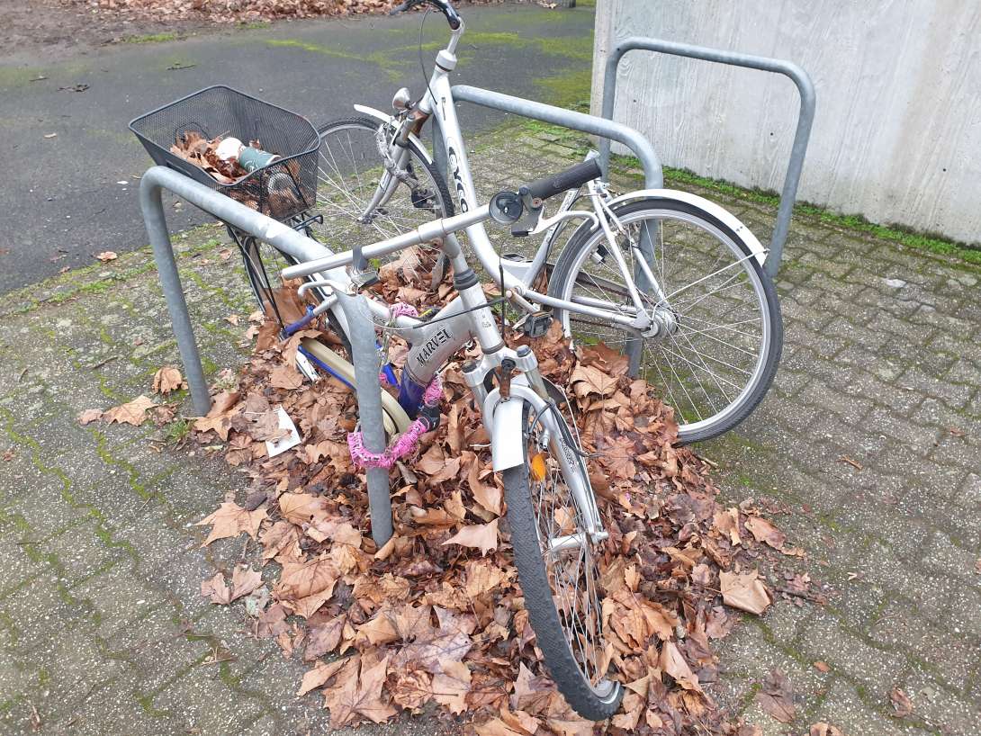 Bild zu gemeldetem Anliegen vom *2024-02-19 14:25:46