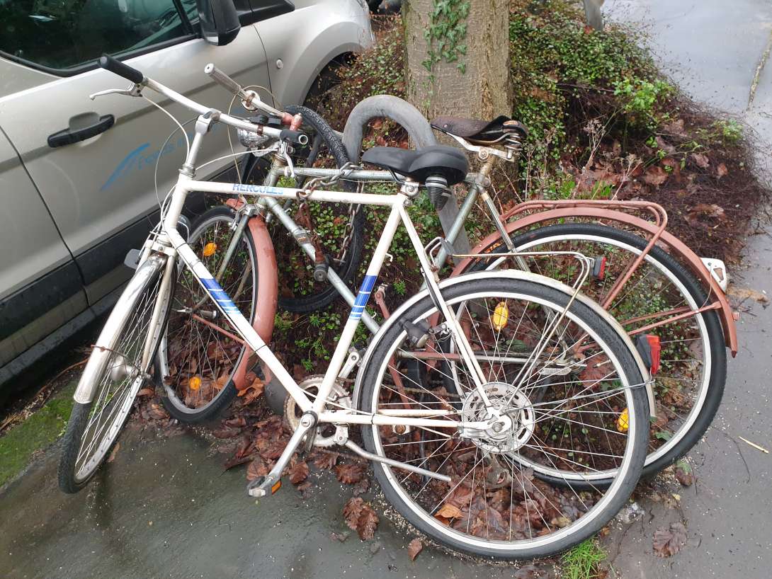 Bild zu gemeldetem Anliegen vom *2024-02-20 16:05:45