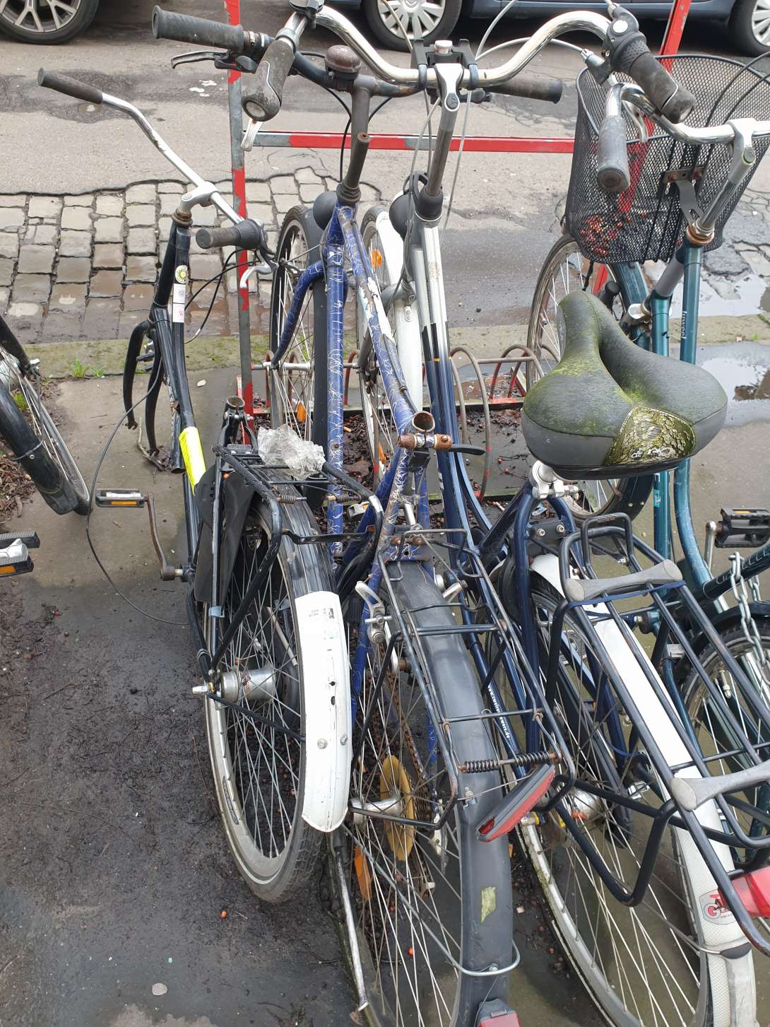 Bild zu gemeldetem Anliegen vom *2024-02-22 11:09:38