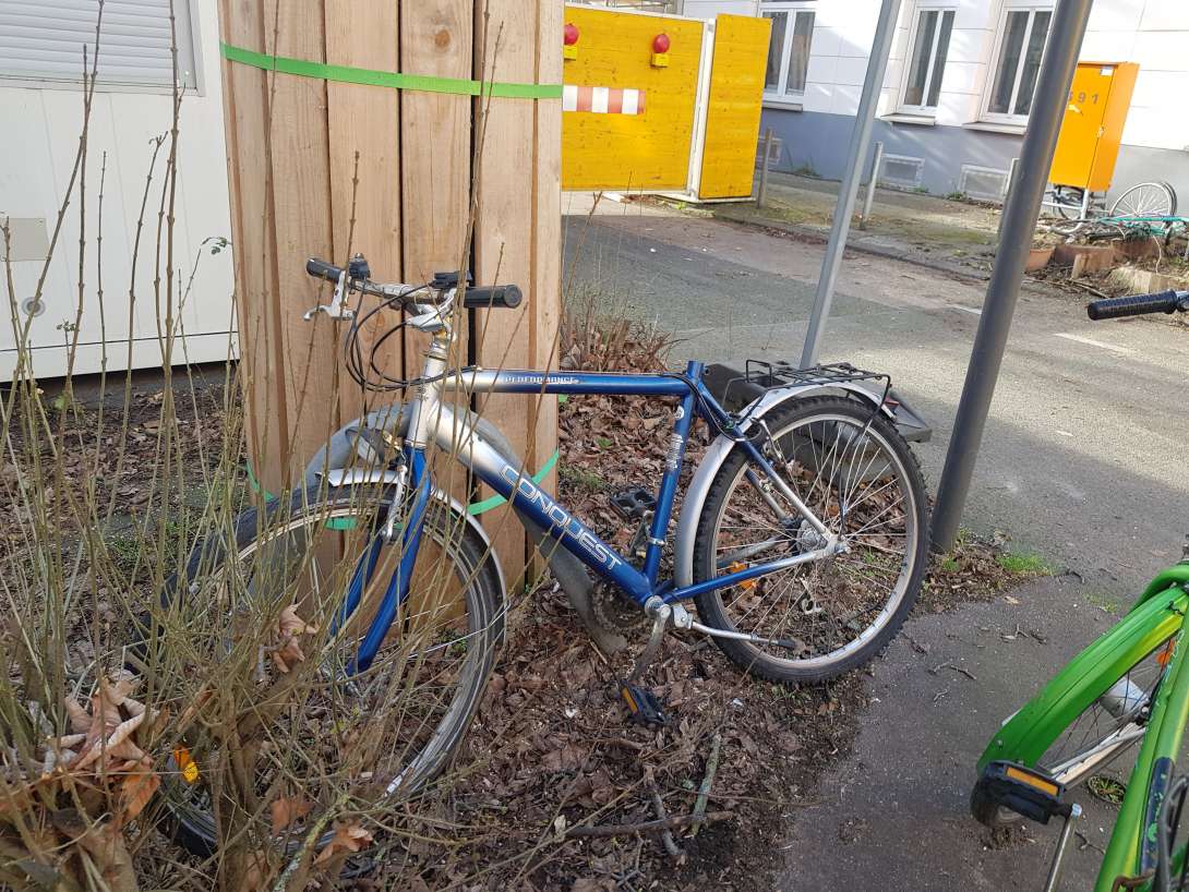 Bild zu gemeldetem Anliegen vom *2024-05-28 14:59:59