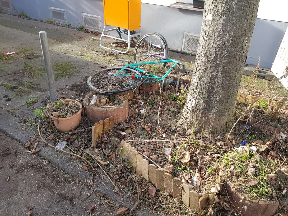 Bild zu gemeldetem Anliegen vom *2024-02-05 11:34:53