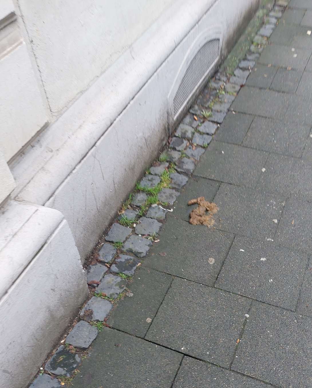 Bild zu gemeldetem Anliegen vom *2024-02-08 06:09:06