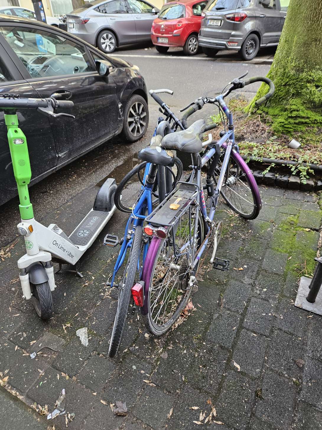 Bild zu gemeldetem Anliegen vom *2024-02-14 12:24:32